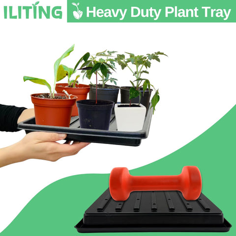 ILITING compact tray demonstrates space-saving design for balcony gardens
