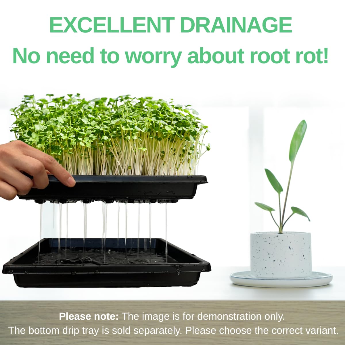 ILITING tray for greenhouse use offers easy transport and cleaning