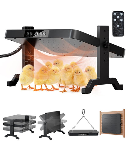 ILOJUST Smart Brooder Plate in coop setup delivers targeted warmth for chicks.