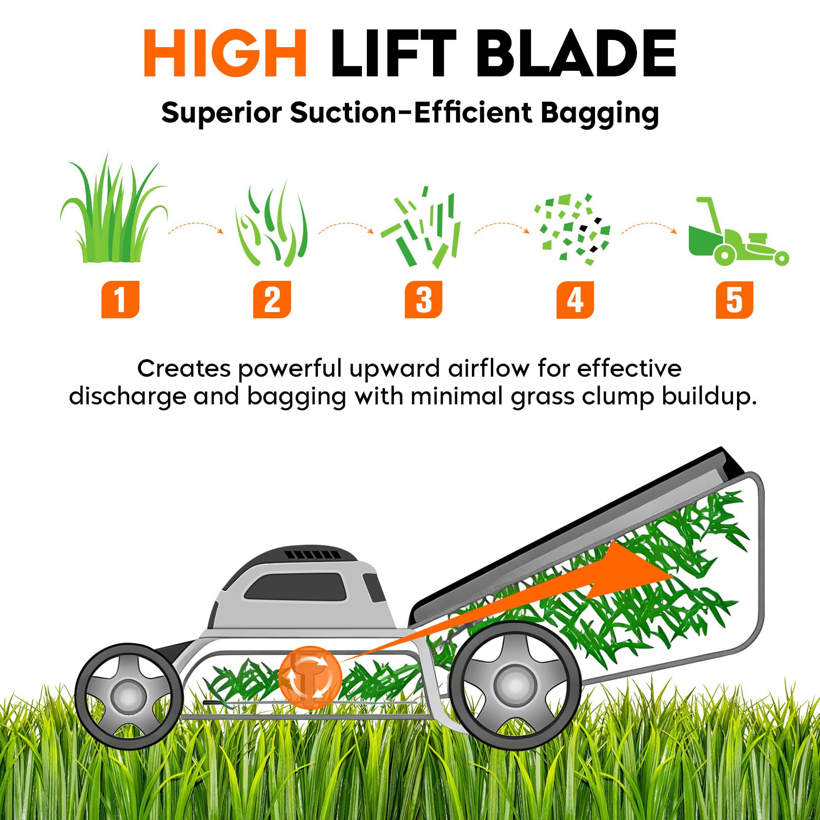 ILONPA blades with painted edges to deter rust during storage.
