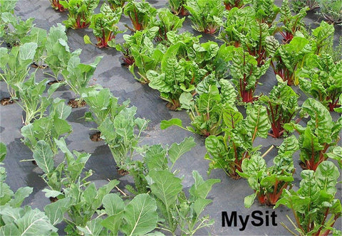 ILSSLI stakes designed for landscape fabric and weed barriers.