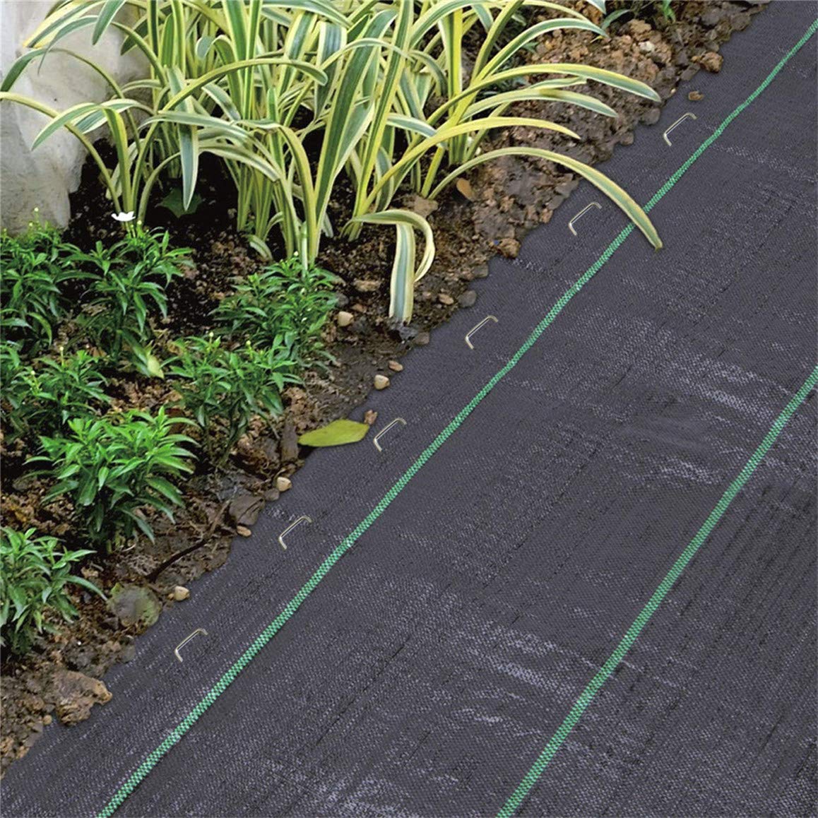 ILSSLI ground anchors secure wires, netting, and irrigation lines.