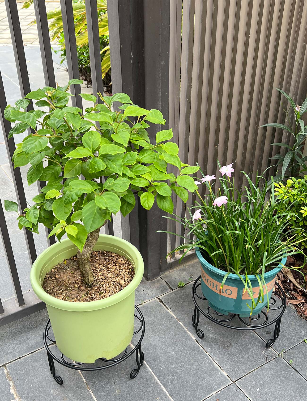 ILTreFlo indoor-outdoor versatile stand in patio setting.