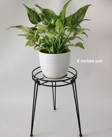 iLTreFlo midcentury stand in use demonstrates easy stacking for storage