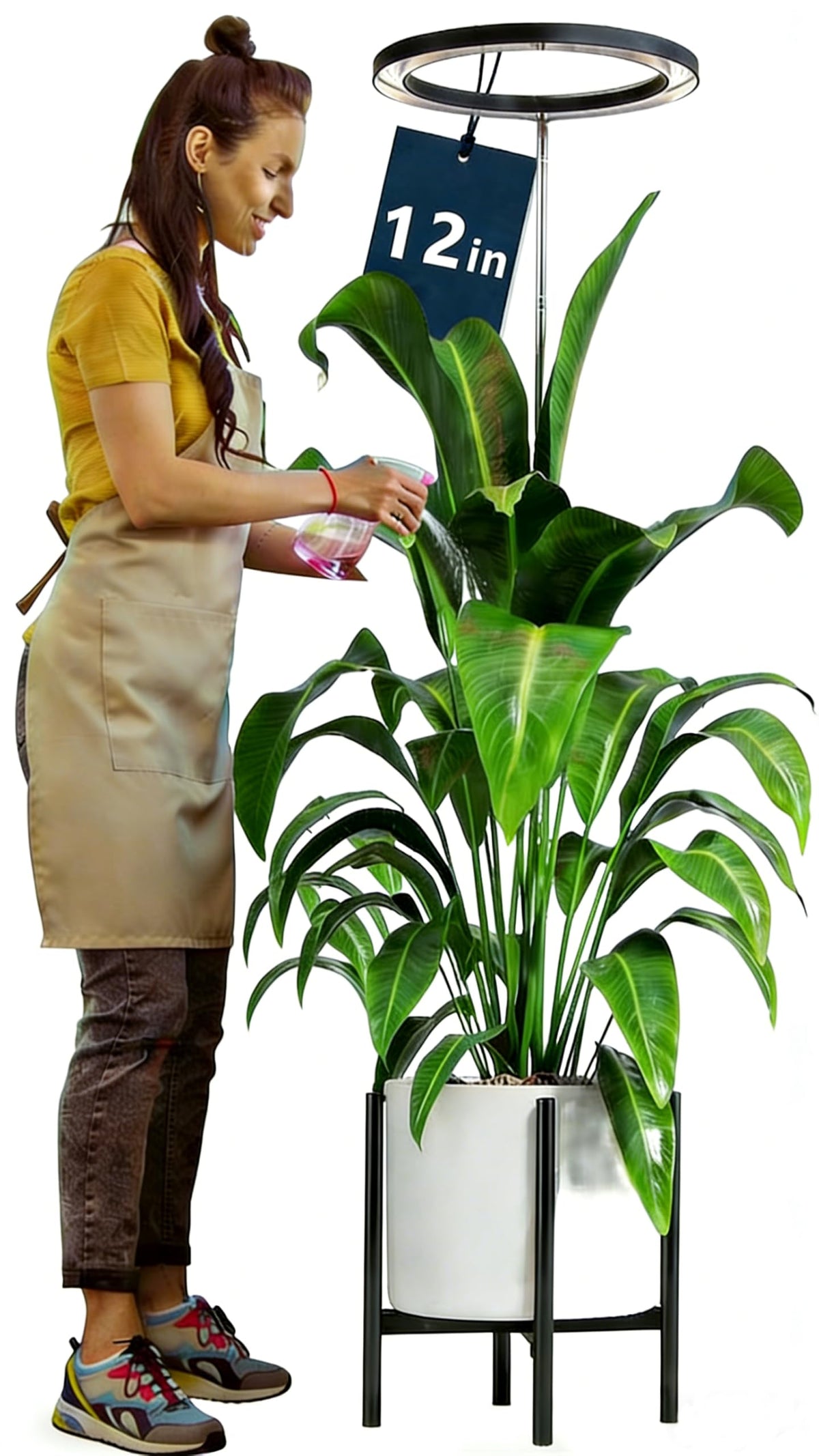 Little Joke 12-Inch Tall Halo Grow Light – Full Spectrum Indoor Plant Light, Height Adjustable 11-65 in, Auto Timer 3/9/12h, 9 Brightness Levels