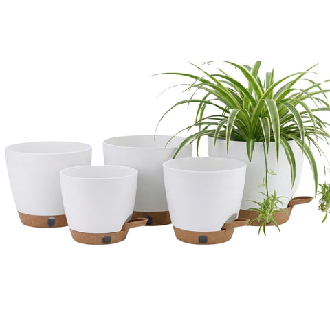 Montresor self-watering planter 5-inch for compact herb growth on countertops.
