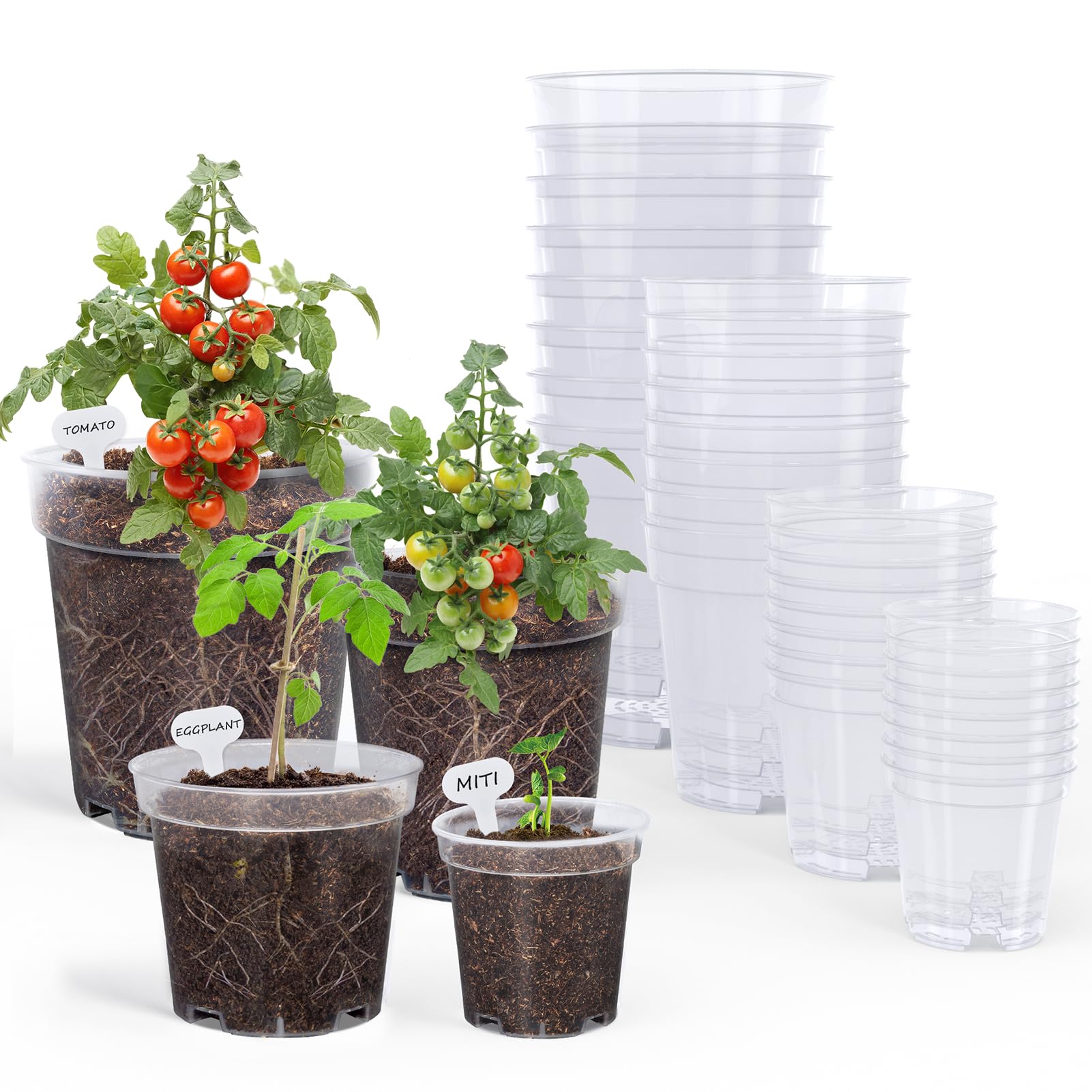 homenote clear nursery pots 3-inch with transparent walls for root viewing and moisture checks