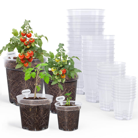 homenote clear nursery pots 3-inch with transparent walls for root viewing and moisture checks