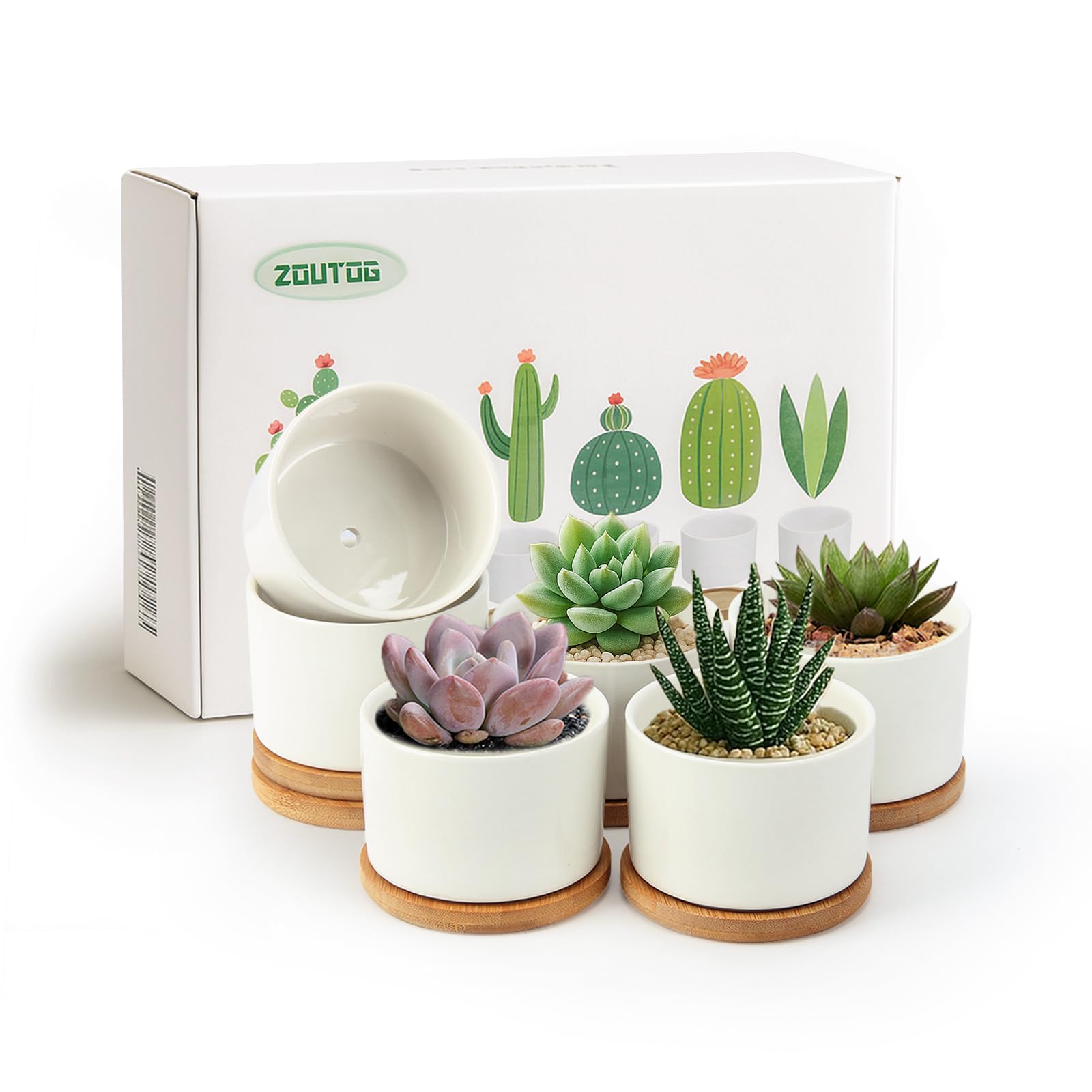 ZOUTOG succulent pots with drainage for compact indoor plant display.