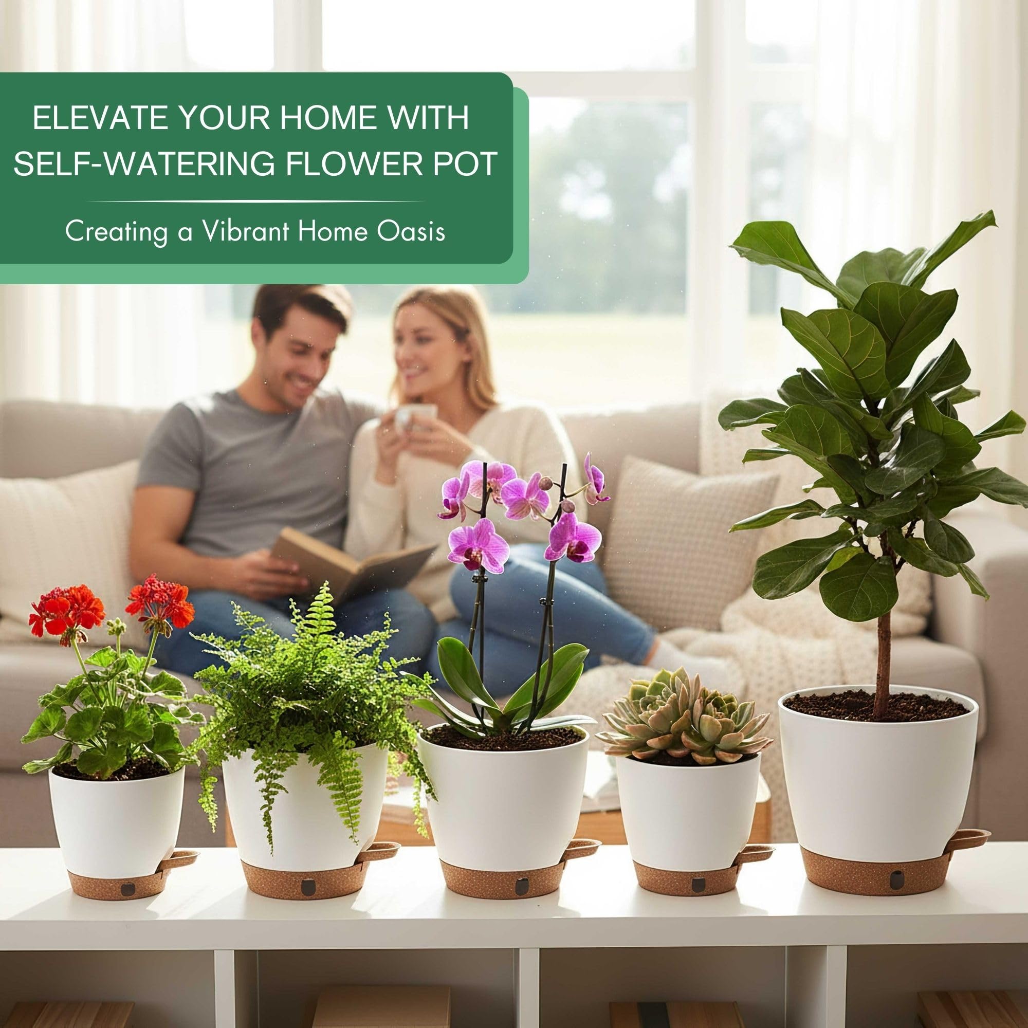 Montresor self-watering planter 5-5-inch keeps soil evenly moist for seedlings.