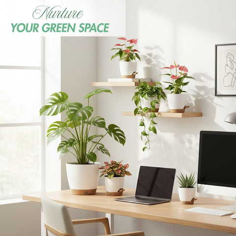 Montresor self-watering planter 6-inch ideal for herbs and small plants.