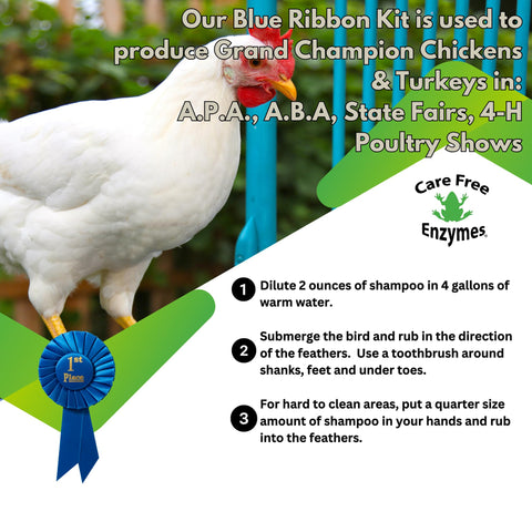 Care Free Enzymes Chicken Shampoo & Poultry Wash – Apple Scented, 16 oz