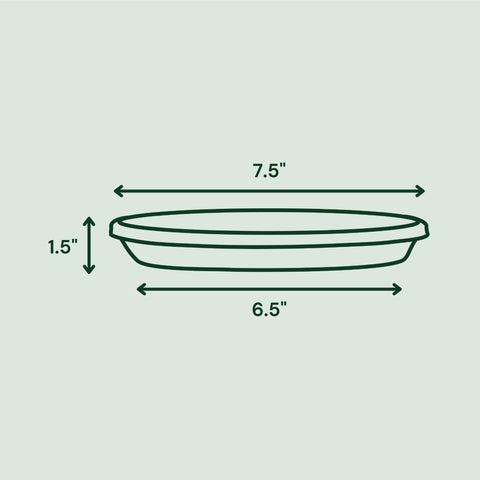 Bloem Terra Resin Saucer Tray — 6.5