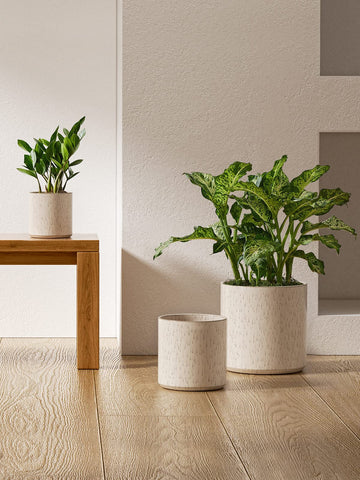 LE TAUCI Ceramic Pots for Plants – 3-Piece Linen Birch Cylinders (10/8/6 Inch) with Drainage