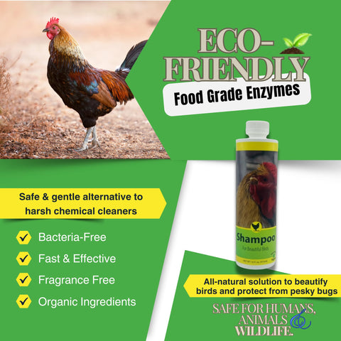 Care Free Enzymes Chicken Shampoo & Poultry Wash – Apple Scented, 16 oz