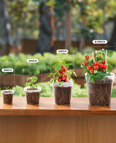 homenote clear nursery pots 6-7 inch for mature starter seedlings and root growth