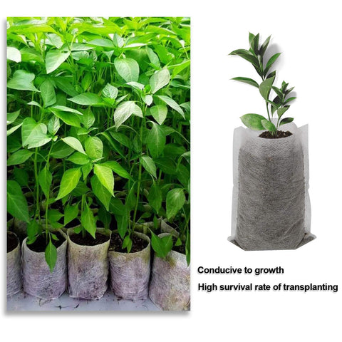 Augshy 200-Pack 3.5x4.7 in Non-Woven Plant Grow Bags – Breathable Seedling Pots
