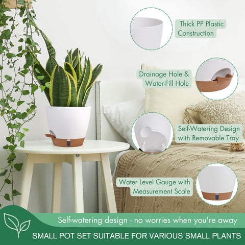 Montresor self-watering planter 6-5-inch versatile for balconies.