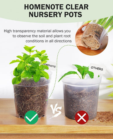 homenote drainage-bottom design for ventilation and reduced waterlogging in seedling pots