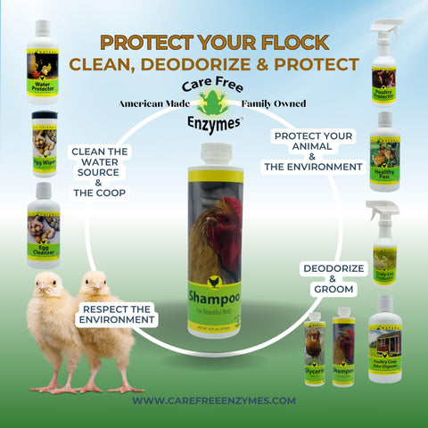 Care Free Enzymes Chicken Shampoo & Poultry Wash – Apple Scented, 16 oz