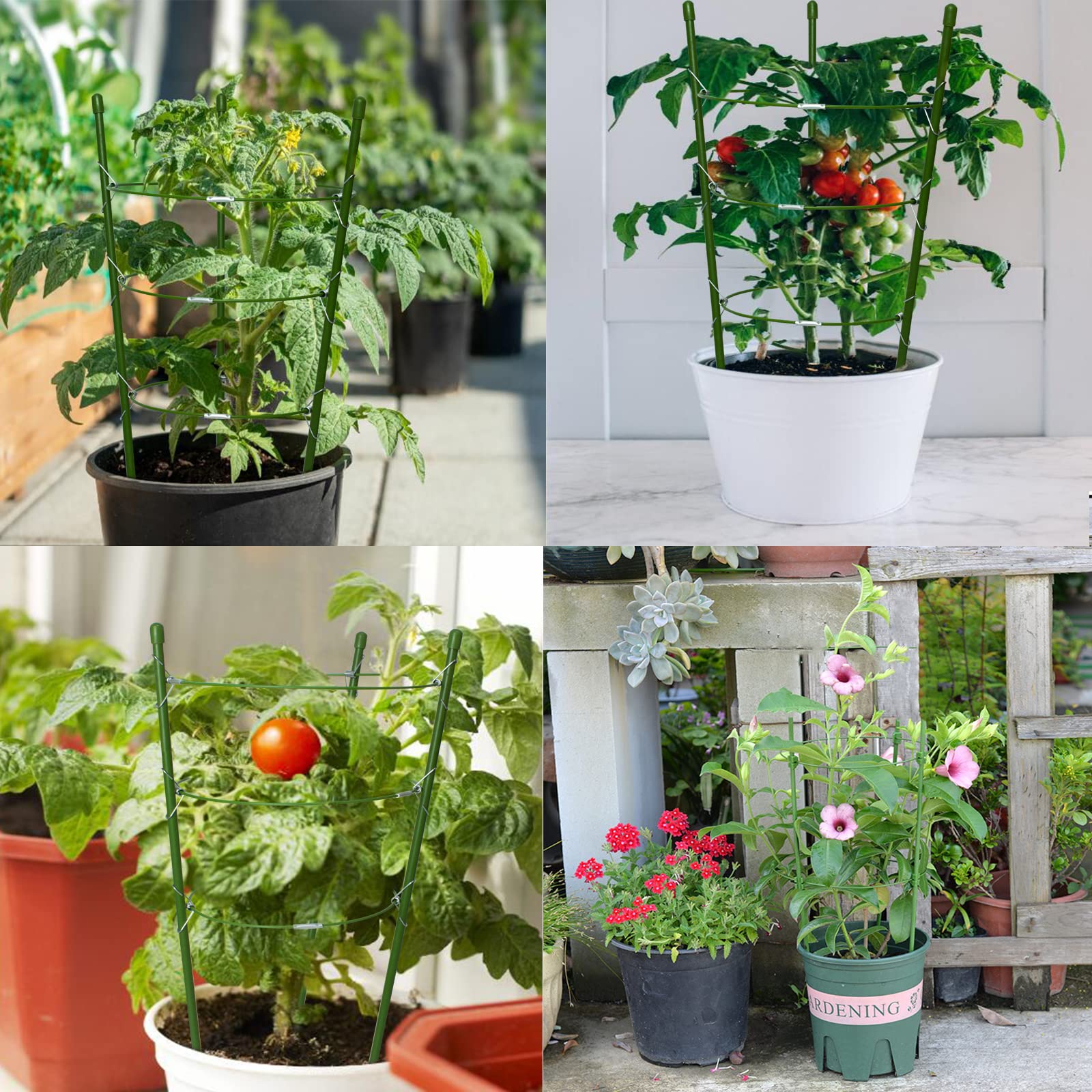 SUNPRO suitable for small to medium plants up to 15 inches tall.