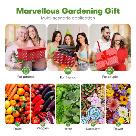 Ahopegarden countertop garden kit fits on desks and kitchens for fresh harvests.