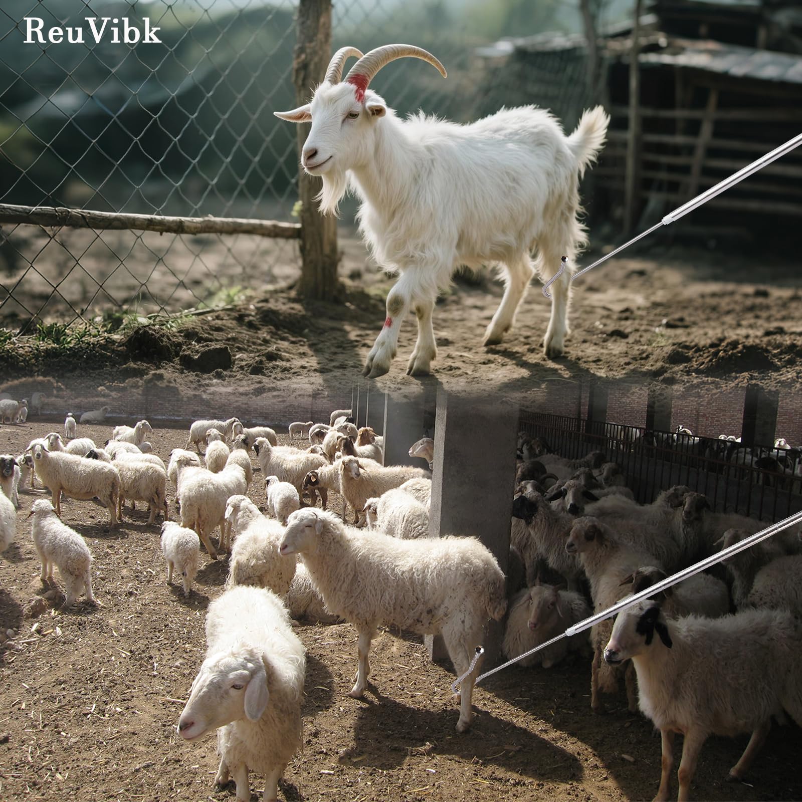 reuvibk-farm-tool-packaging-storage