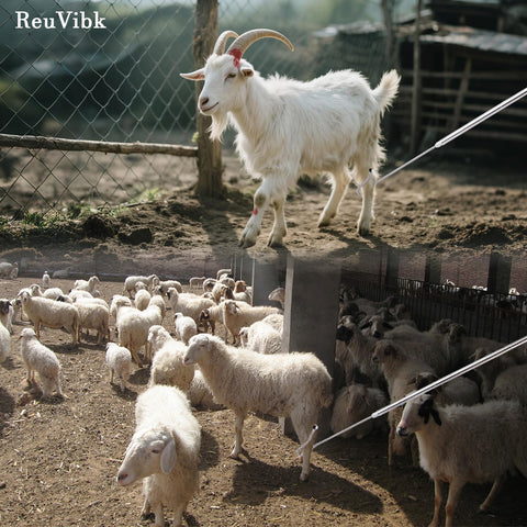 reuvibk-farm-tool-packaging-storage