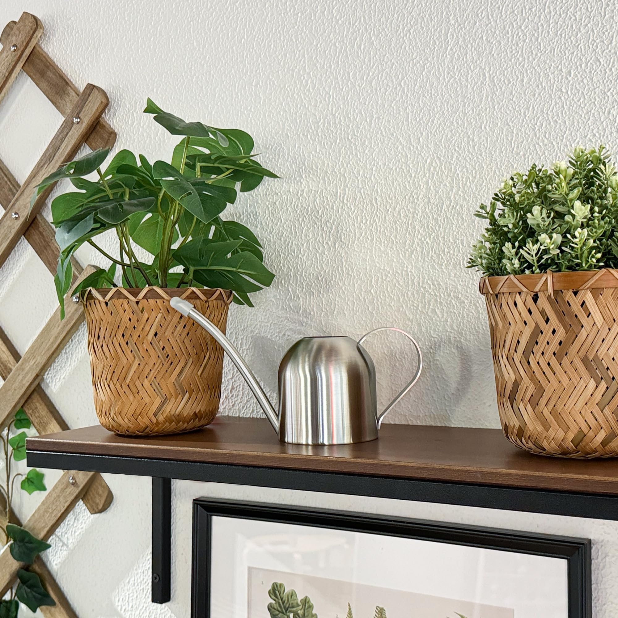 IMEEA bonsai-friendly mini watering can for delicate foliage.