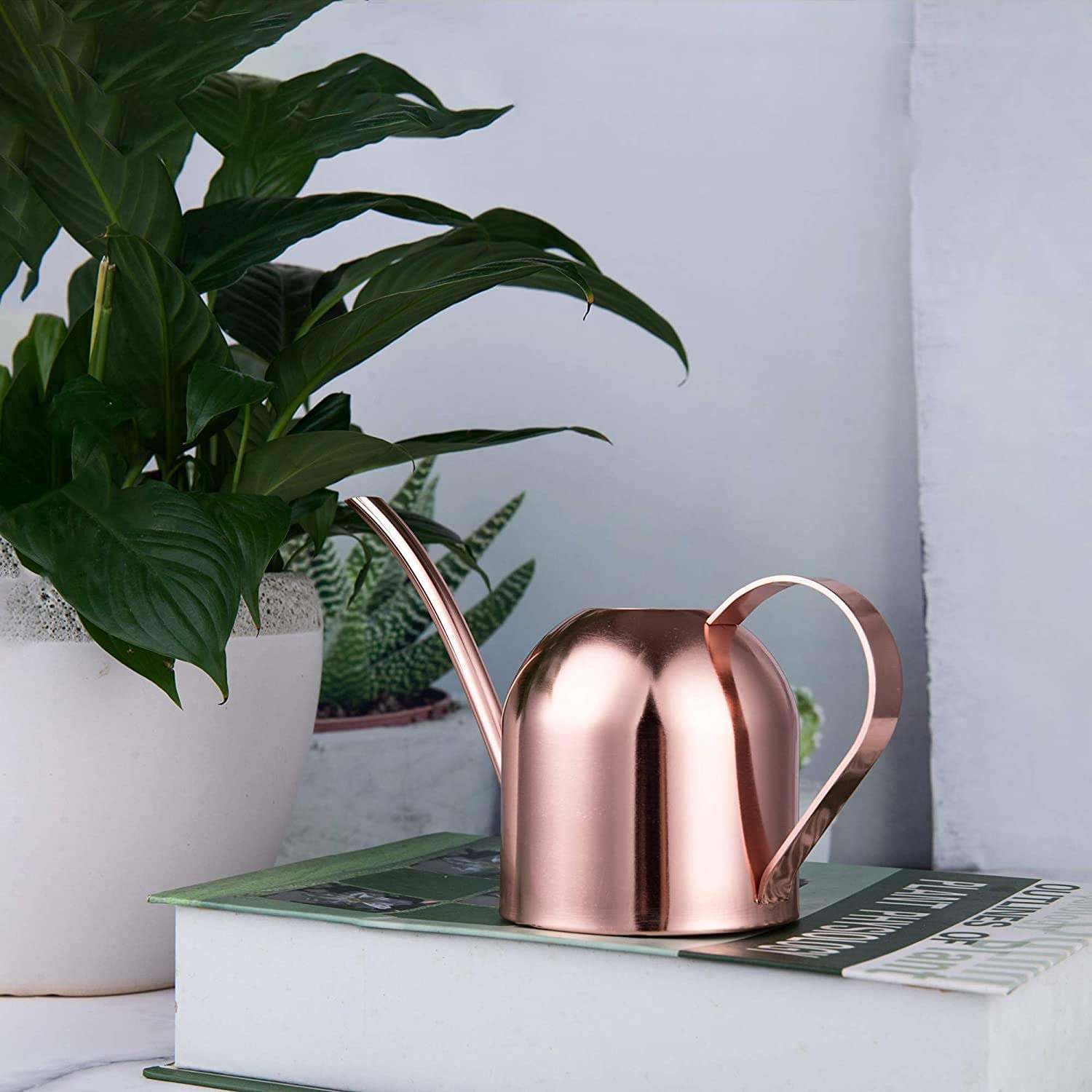 IMEEA compact desk can fits tight spaces for plant care