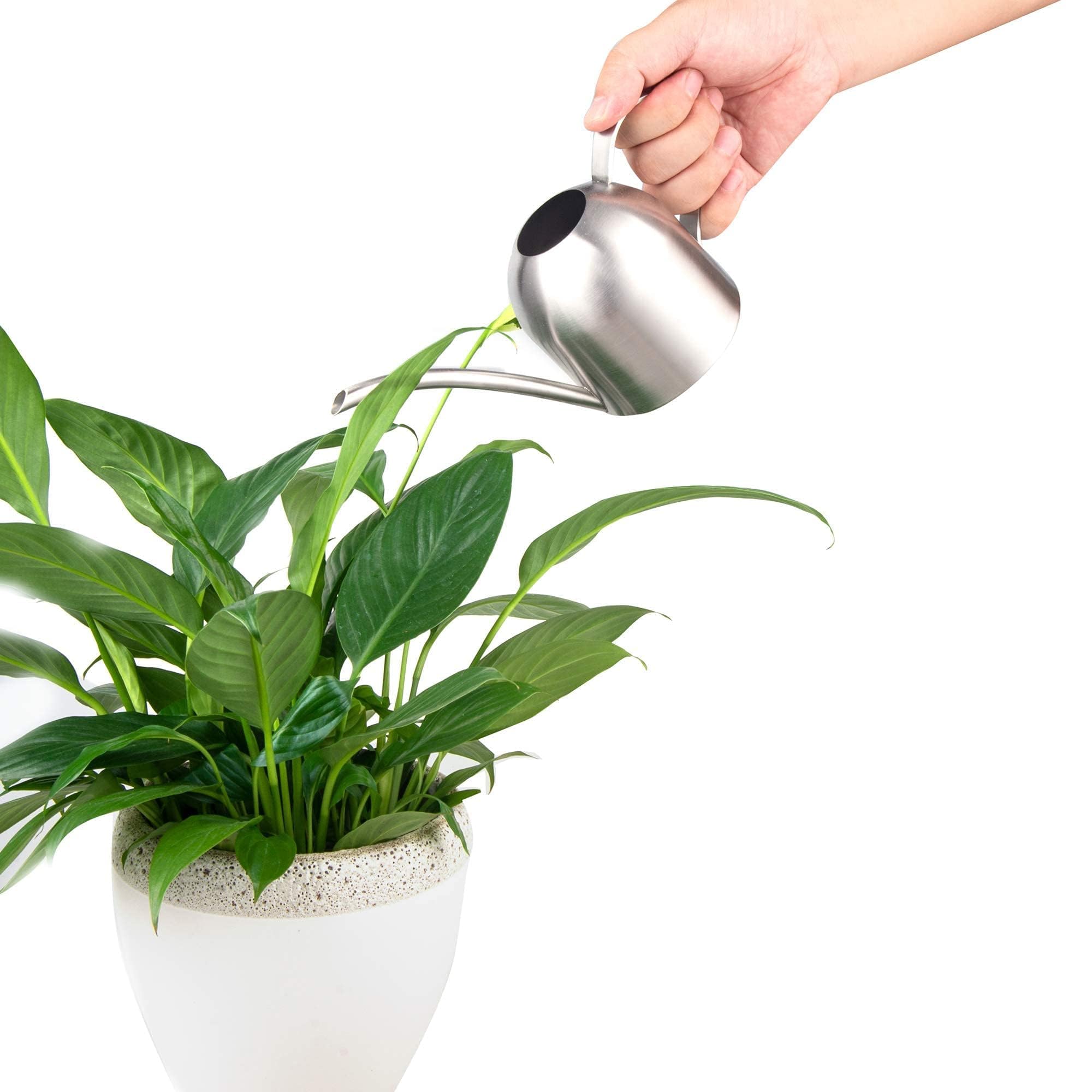 IMEEA compact metal watering can for easy office plant care.