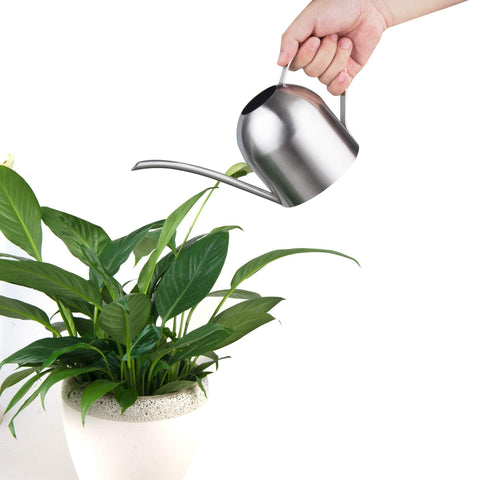 IMEEA stainless steel watering can with brushed exterior for durability