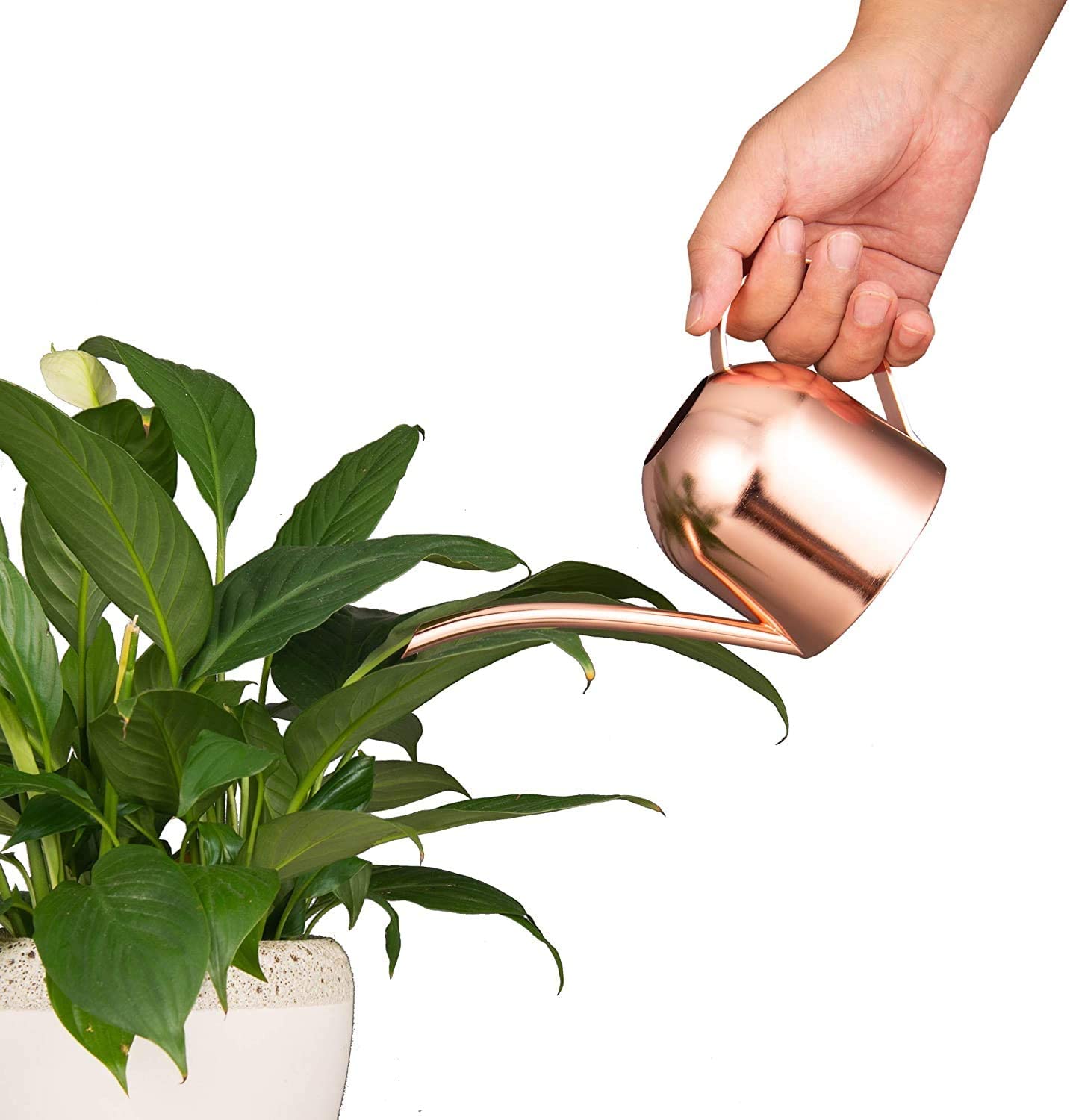 IMEEA rose gold exterior adds chic style to indoor plant care