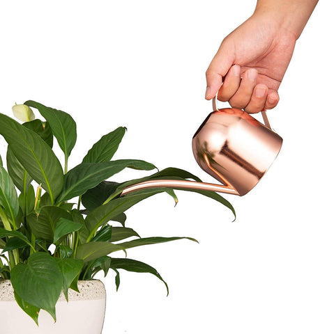 IMEEA rose gold exterior adds chic style to indoor plant care