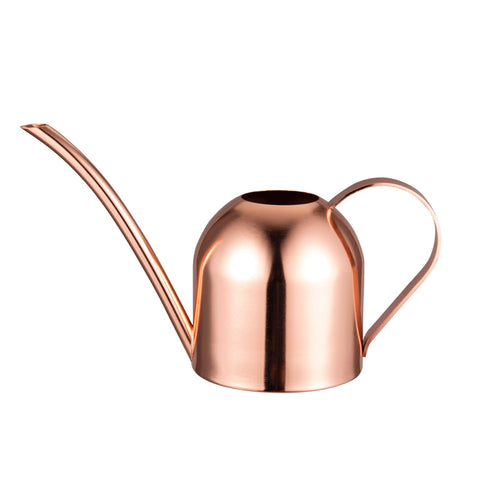 IMEEA small stainless steel watering can for precise indoor plant watering
