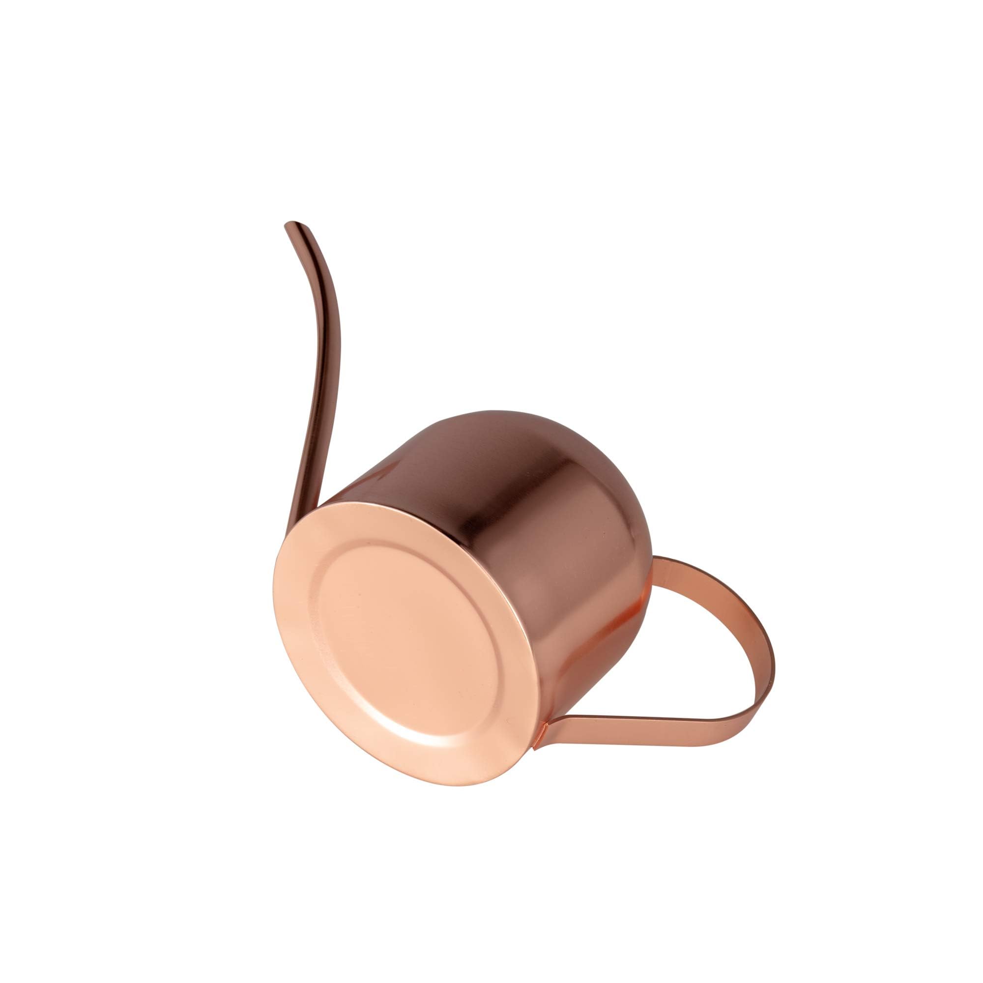 IMEEA ideal for small plants, succulents, and bonsai setups
