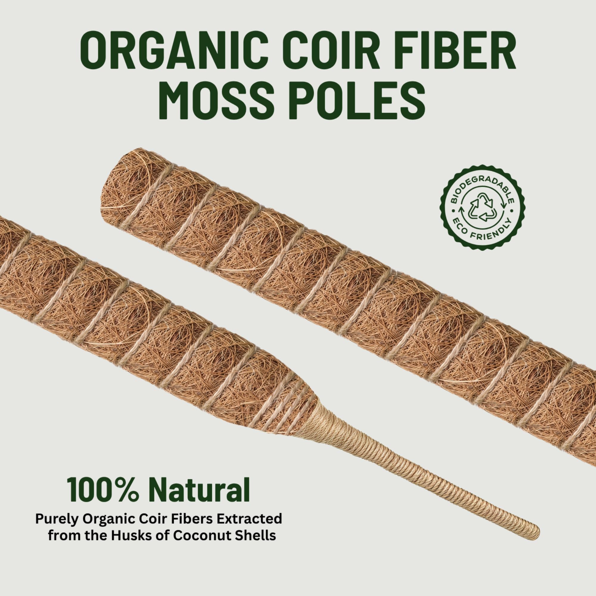 imezos moss poles for climbing plants elevating indoor vines