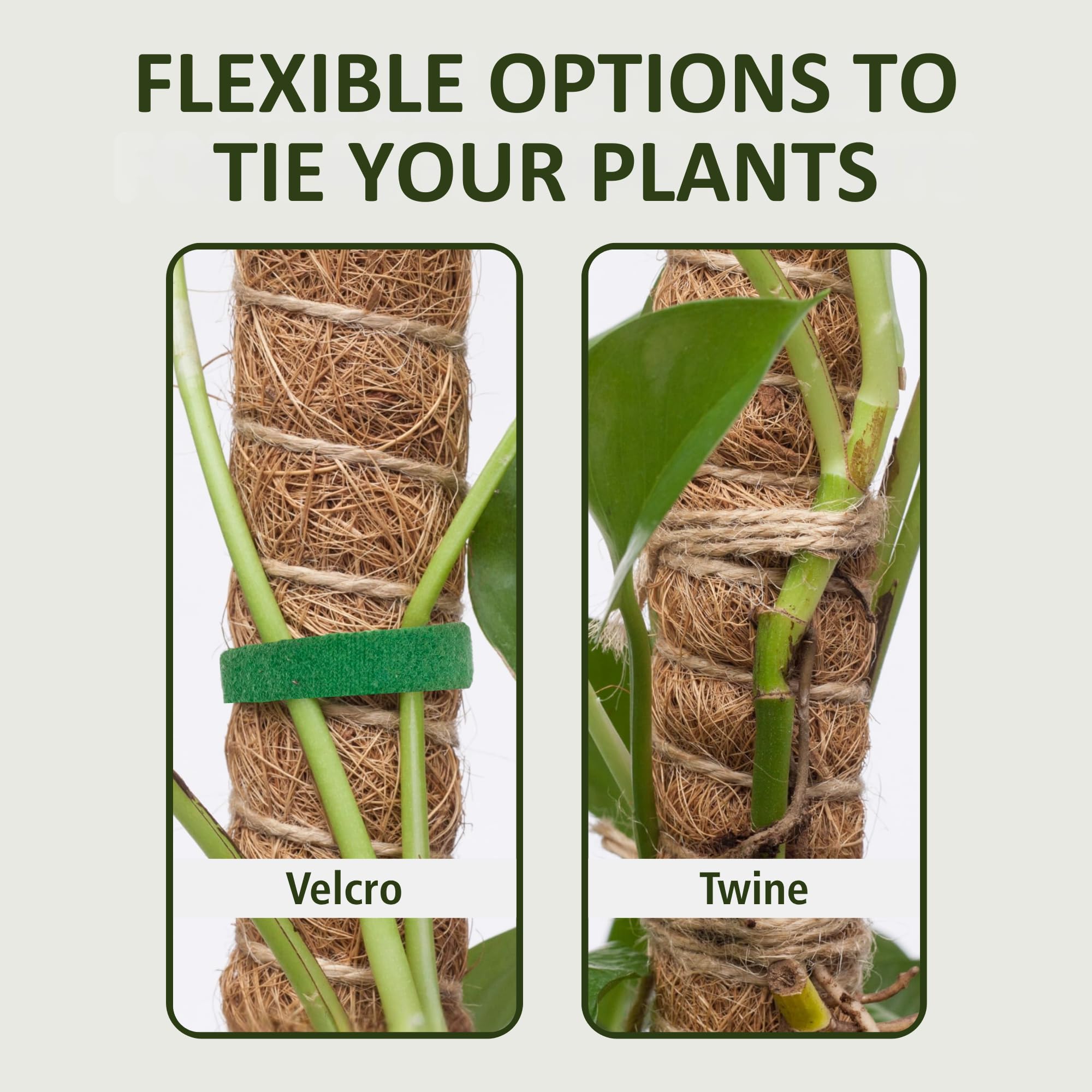 Imezos easy 3 step setup simplifies attaching climbing plants to the pole.