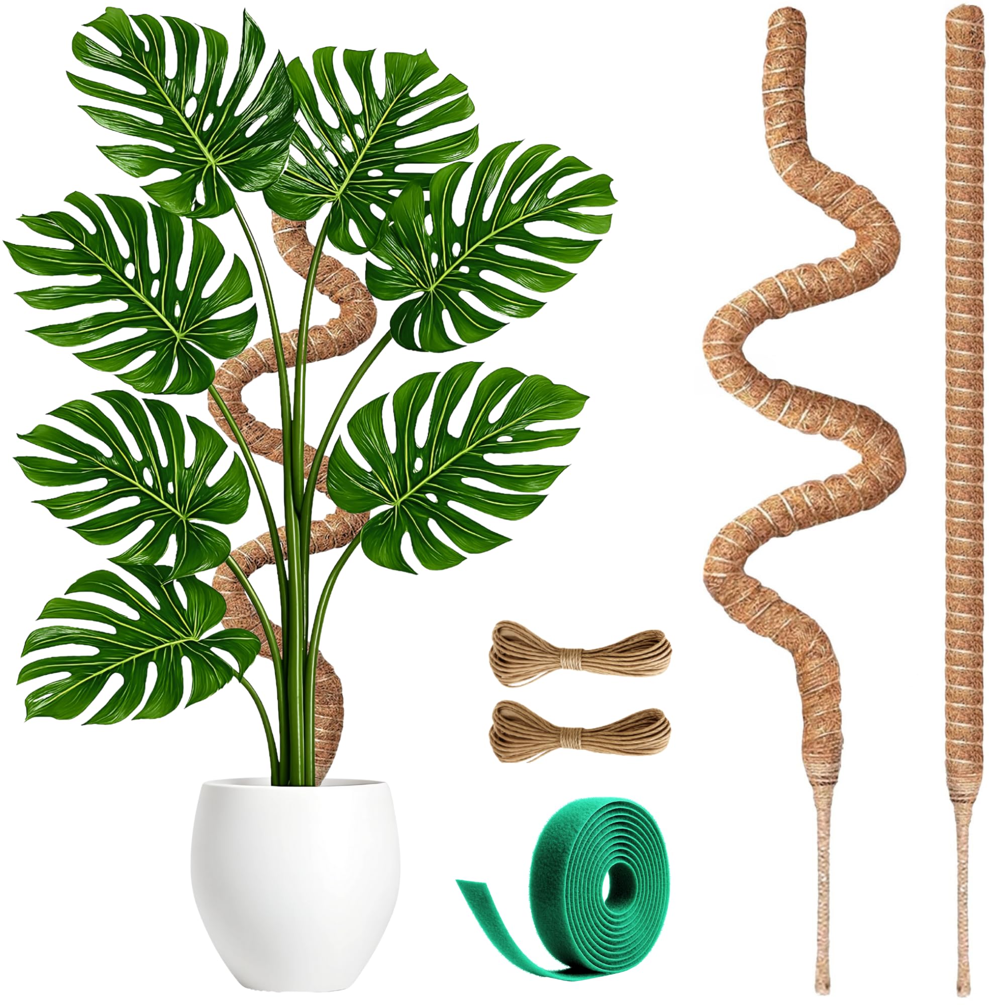 Imezos Monstera plant support helps leaves reach light more evenly.