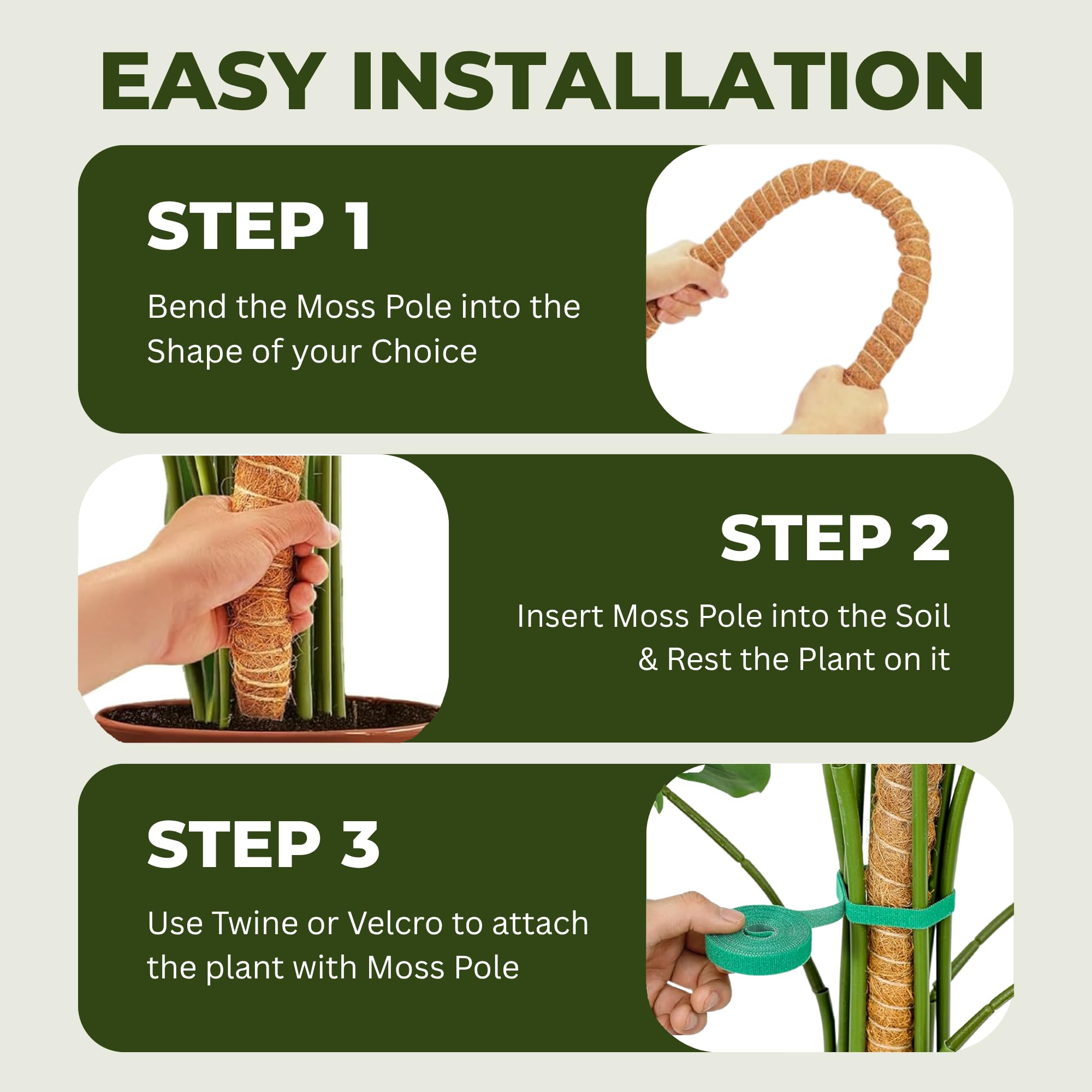 Imezos two pole pack is ideal for supporting multiple plants like Monstera.