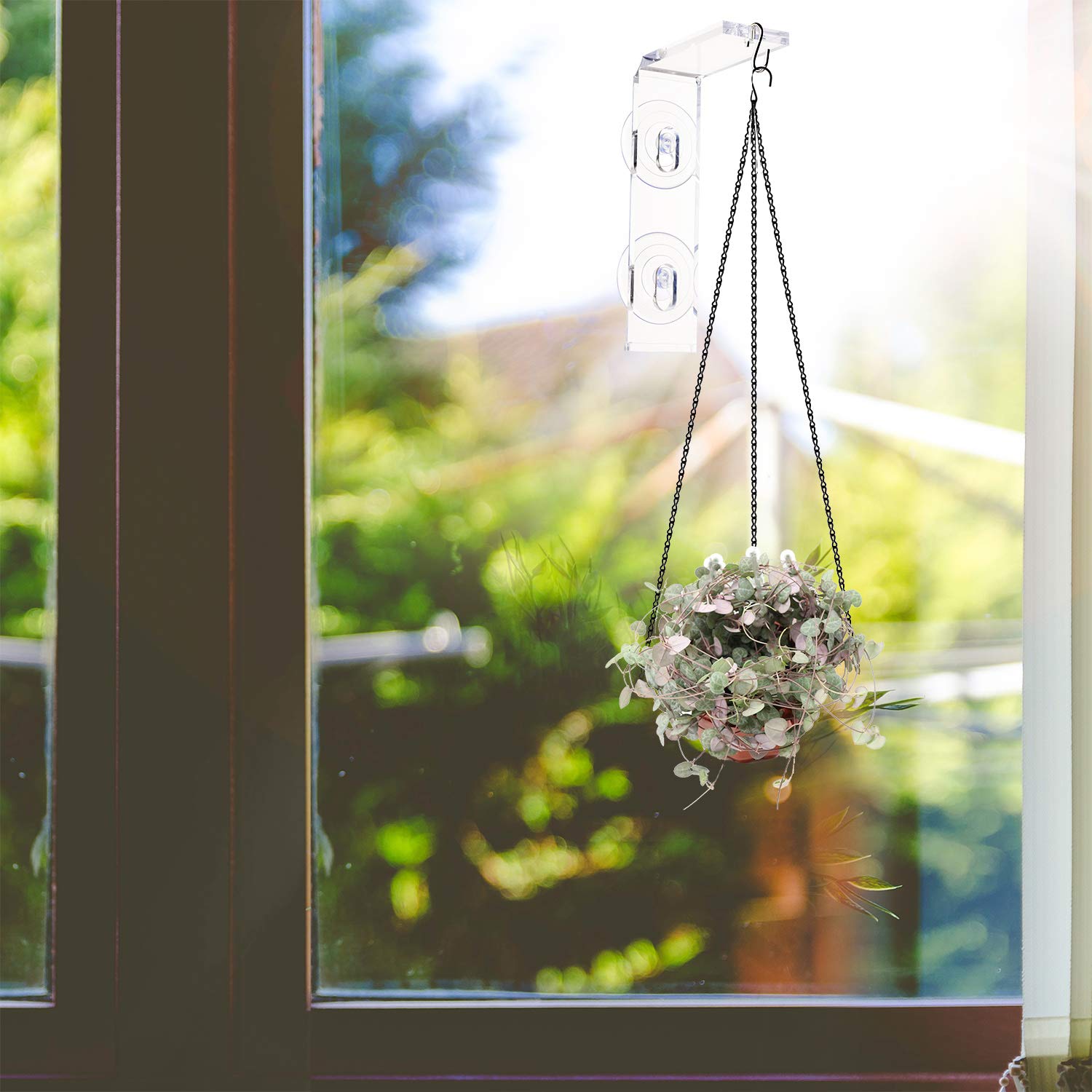 Impresa bird feeder window hanger ready to attract visiting birds