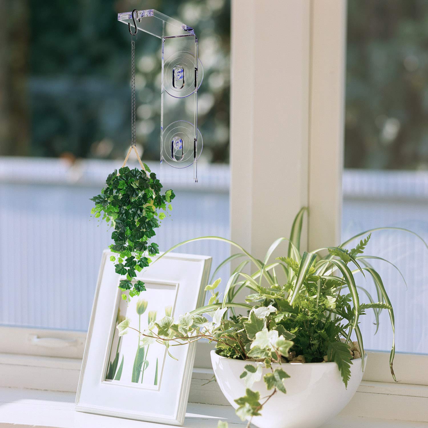 Impresa microgreens window garden by kitchen window for fresh greens