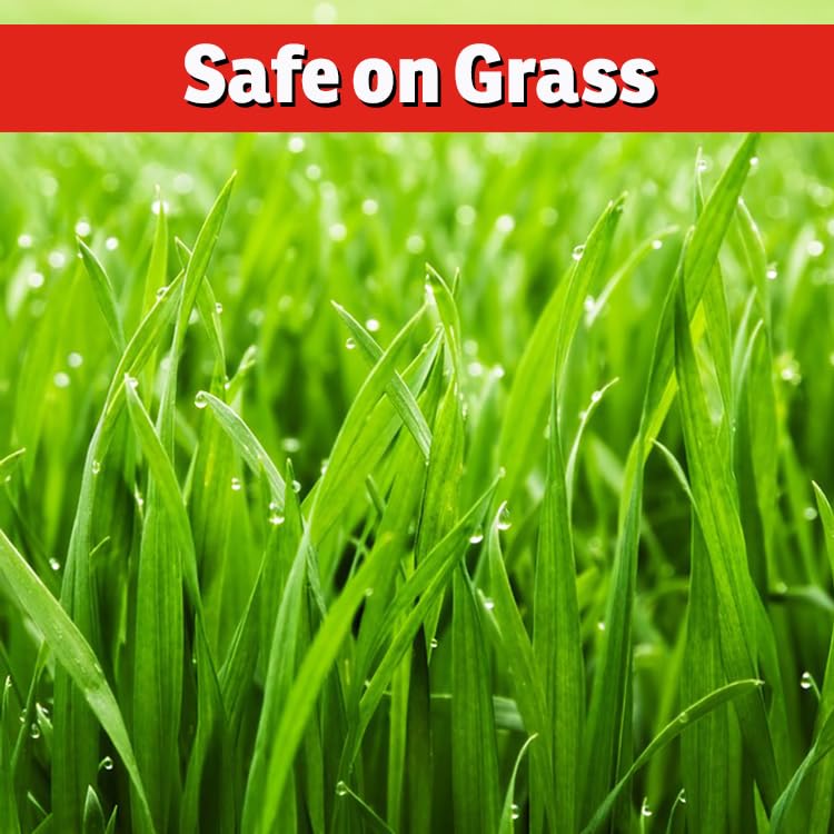 IMUSTGARDEN Armadillo Repellent grass-safe option protects newly seeded lawns.