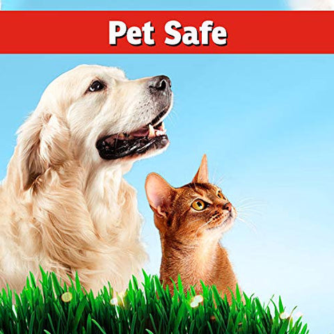 IMUSTGARDEN deer repellent concentrate coverage up to 10,000 sq ft shown in garden.