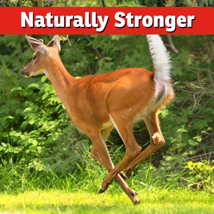 IMUSTGARDEN deer repellent concentrate uses natural ingredients for garden protection.