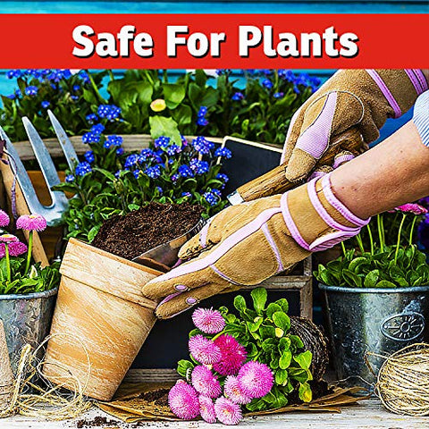 IMUSTGARDEN 32oz bottle provides long-lasting outdoor protection.
