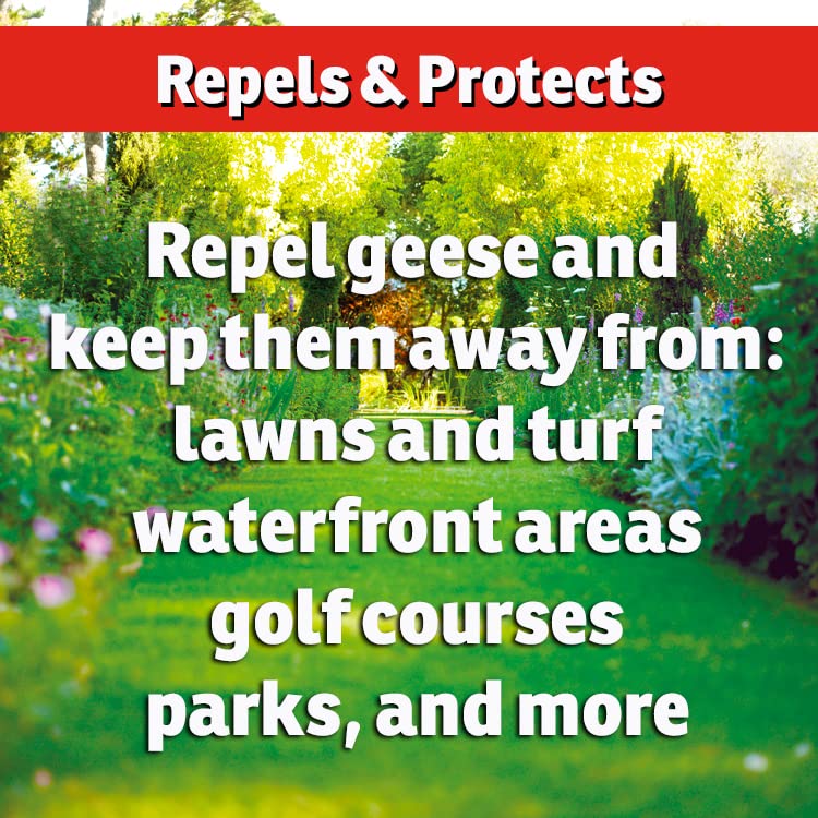 IMUSTGARDEN goose repellent concentrate lawn application highlights quick, safe turf coverage