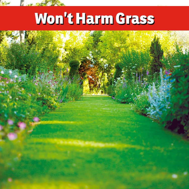 IMUSTGARDEN goose repellent concentrate nest prevention image conveys proactive lawn care