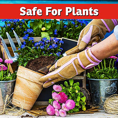 IMUSTGARDEN long-lasting coating thanks to natural sticking agents