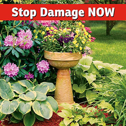 IMUSTGARDEN safe for pets and pollinators while protecting plants